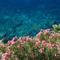 Croatie